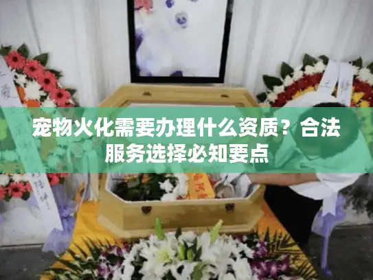 宠物火化需要办理什么资质？合法服务选择必知要点