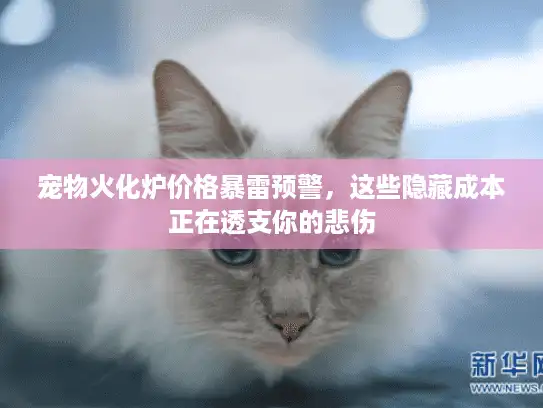 宠物火化炉价格暴雷预警，这些隐藏成本正在透支你的悲伤