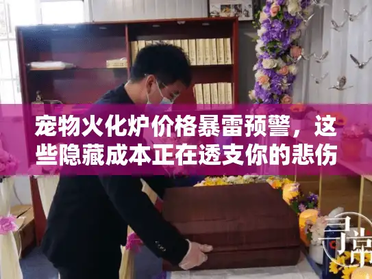 宠物火化炉价格暴雷预警，这些隐藏成本正在透支你的悲伤