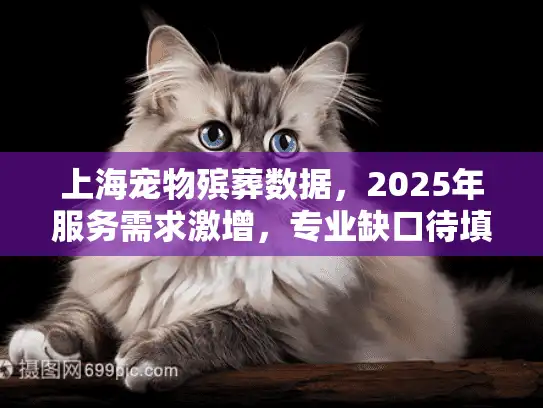 上海宠物殡葬数据，2025年服务需求激增，专业缺口待填补？