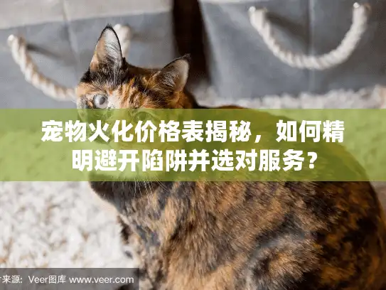 宠物火化价格表揭秘，如何精明避开陷阱并选对服务？