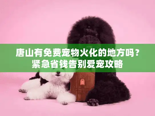 唐山有免费宠物火化的地方吗？紧急省钱告别爱宠攻略
