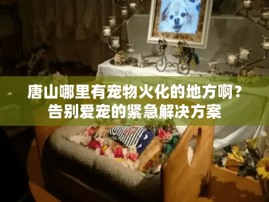 唐山哪里有宠物火化的地方啊？告别爱宠的紧急解决方案