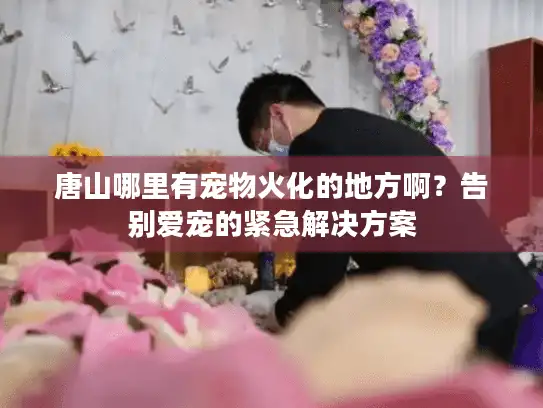 唐山哪里有宠物火化的地方啊？告别爱宠的紧急解决方案