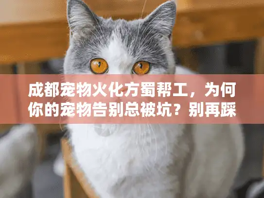 成都宠物火化方蜀帮工，为何你的宠物告别总被坑？别再踩这些雷了！
