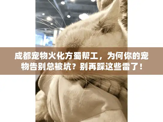 成都宠物火化方蜀帮工，为何你的宠物告别总被坑？别再踩这些雷了！
