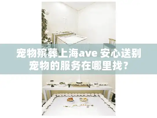 宠物殡葬上海ave 安心送别宠物的服务在哪里找？