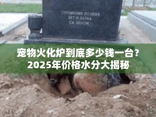 宠物火化炉到底多少钱一台？2025年价格水分大揭秘