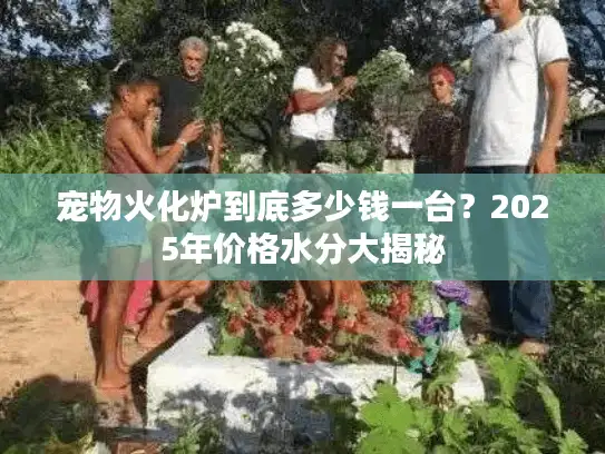 宠物火化炉到底多少钱一台？2025年价格水分大揭秘
