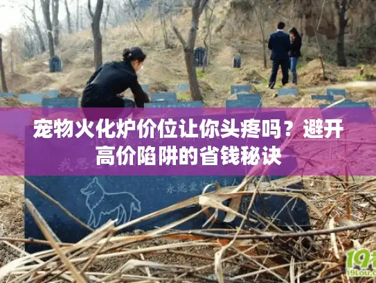 宠物火化炉价位让你头疼吗？避开高价陷阱的省钱秘诀