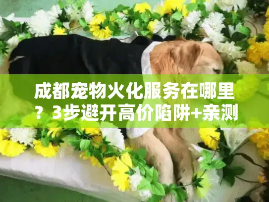 成都宠物火化服务在哪里？3步避开高价陷阱+亲测选址地图