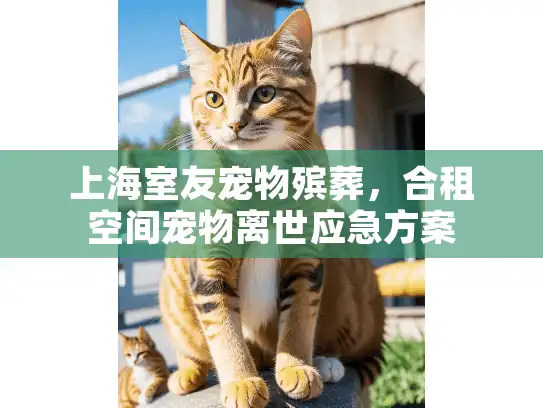 上海室友宠物殡葬，合租空间宠物离世应急方案