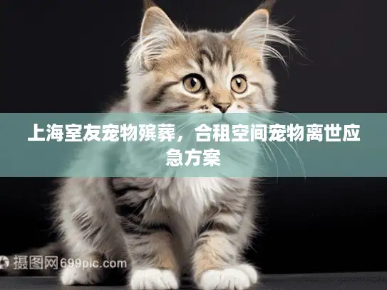 上海室友宠物殡葬，合租空间宠物离世应急方案