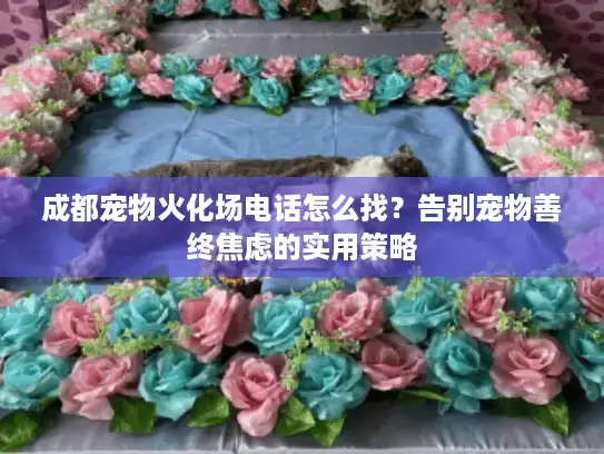 成都宠物火化场电话怎么找？告别宠物善终焦虑的实用策略