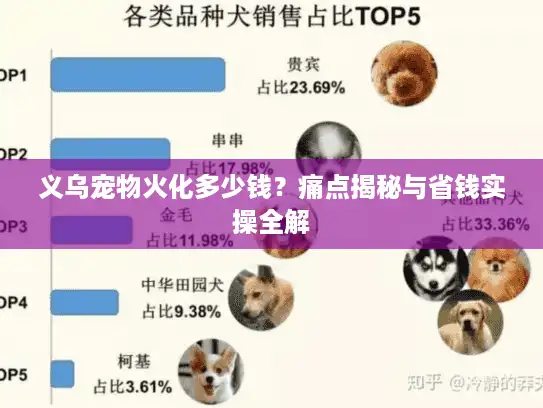 义乌宠物火化多少钱？痛点揭秘与省钱实操全解