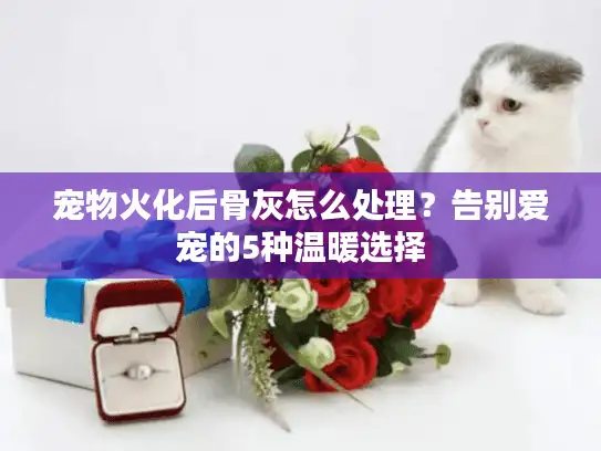 宠物火化后骨灰怎么处理？告别爱宠的5种温暖选择
