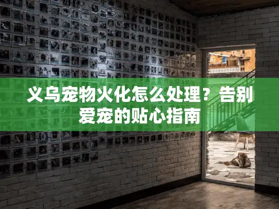 义乌宠物火化怎么处理？告别爱宠的贴心指南
