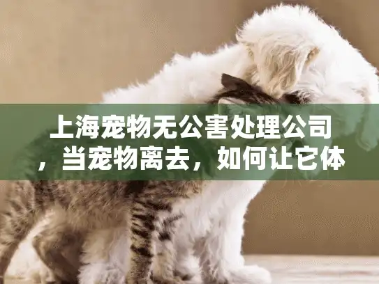 上海宠物无公害处理公司，当宠物离去，如何让它体面又环保？