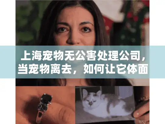 上海宠物无公害处理公司，当宠物离去，如何让它体面又环保？