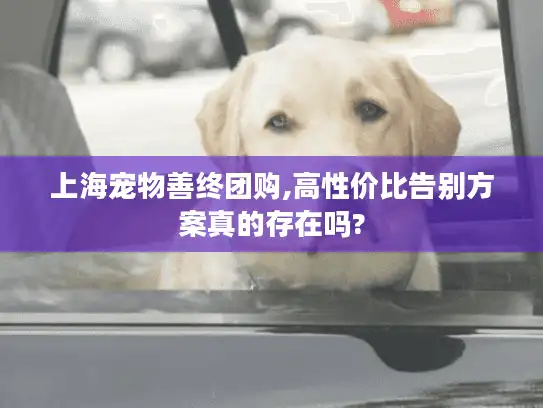 上海宠物善终团购,高性价比告别方案真的存在吗?