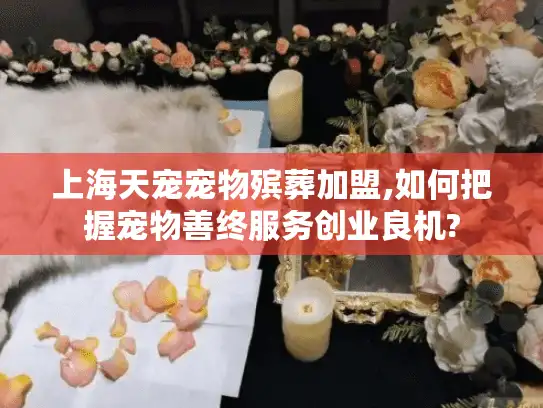 上海天宠宠物殡葬加盟,如何把握宠物善终服务创业良机?