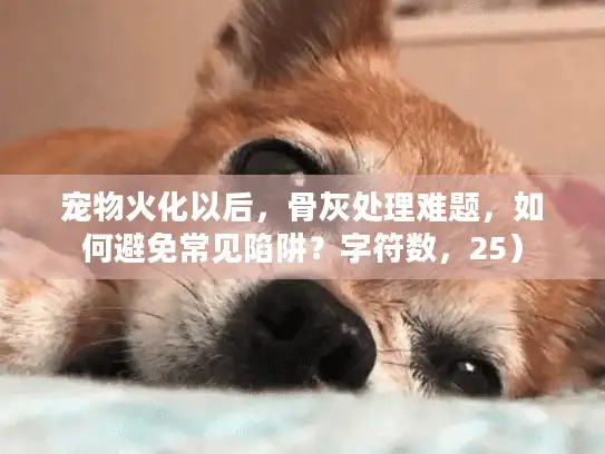 宠物火化以后，骨灰处理难题，如何避免常见陷阱？字符数，25）