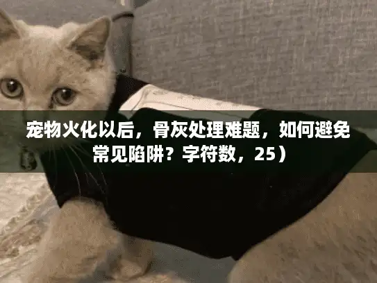 宠物火化以后，骨灰处理难题，如何避免常见陷阱？字符数，25）
