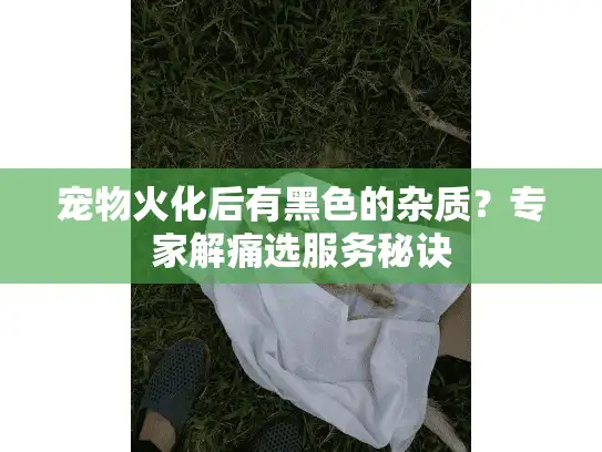 宠物火化后有黑色的杂质？专家解痛选服务秘诀