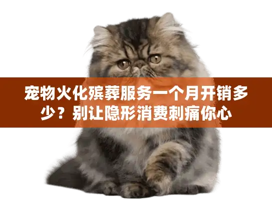宠物火化殡葬服务一个月开销多少？别让隐形消费刺痛你心