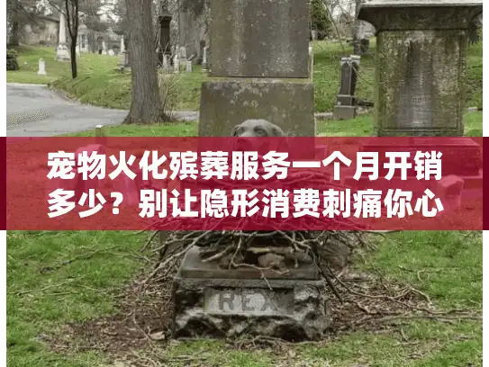 宠物火化殡葬服务一个月开销多少？别让隐形消费刺痛你心
