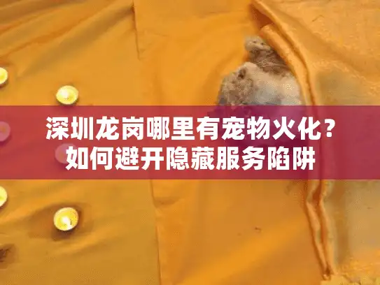 深圳龙岗哪里有宠物火化？如何避开隐藏服务陷阱