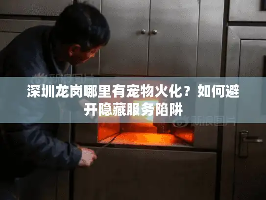 深圳龙岗哪里有宠物火化？如何避开隐藏服务陷阱
