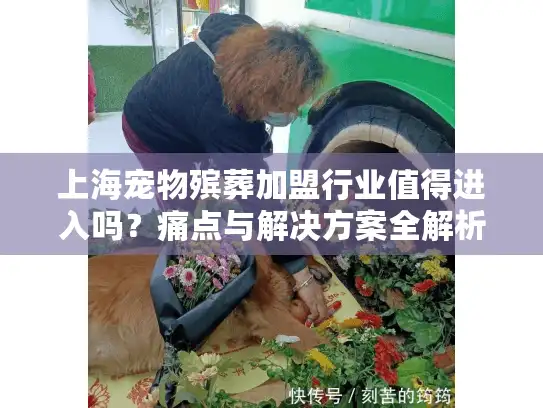 上海宠物殡葬加盟行业值得进入吗？痛点与解决方案全解析