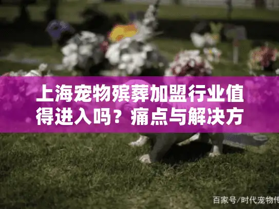 上海宠物殡葬加盟行业值得进入吗？痛点与解决方案全解析