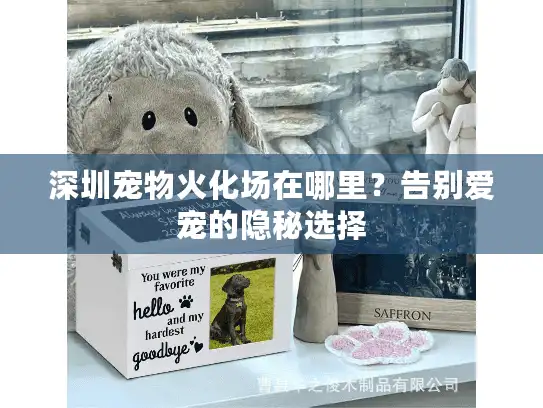 深圳宠物火化场在哪里？告别爱宠的隐秘选择