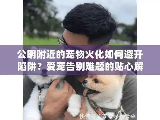 公明附近的宠物火化如何避开陷阱？爱宠告别难题的贴心解法