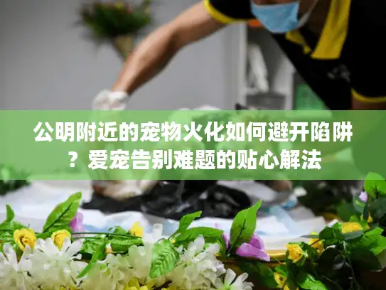 公明附近的宠物火化如何避开陷阱？爱宠告别难题的贴心解法