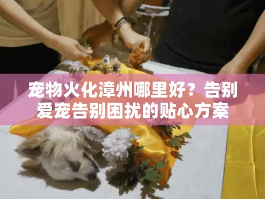 宠物火化漳州哪里好？告别爱宠告别困扰的贴心方案