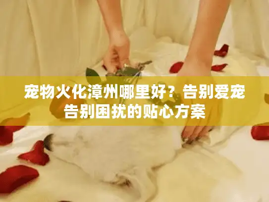 宠物火化漳州哪里好？告别爱宠告别困扰的贴心方案