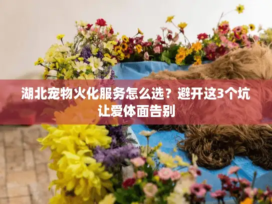 湖北宠物火化服务怎么选？避开这3个坑让爱体面告别