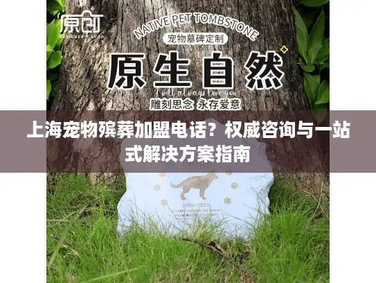 上海宠物殡葬加盟电话？权威咨询与一站式解决方案指南