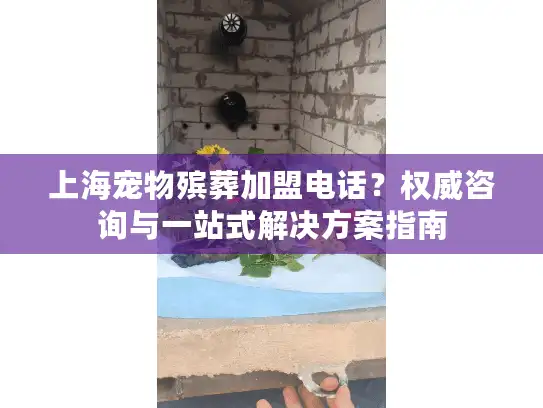 上海宠物殡葬加盟电话？权威咨询与一站式解决方案指南