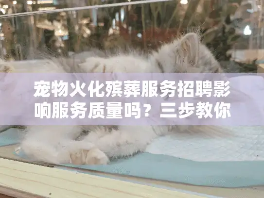 宠物火化殡葬服务招聘影响服务质量吗？三步教你避开陷阱选择安心葬礼