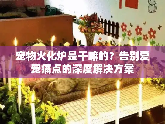 宠物火化炉是干嘛的？告别爱宠痛点的深度解决方案