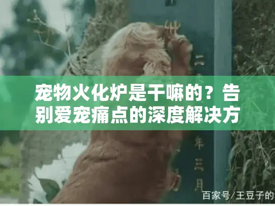 宠物火化炉是干嘛的？告别爱宠痛点的深度解决方案
