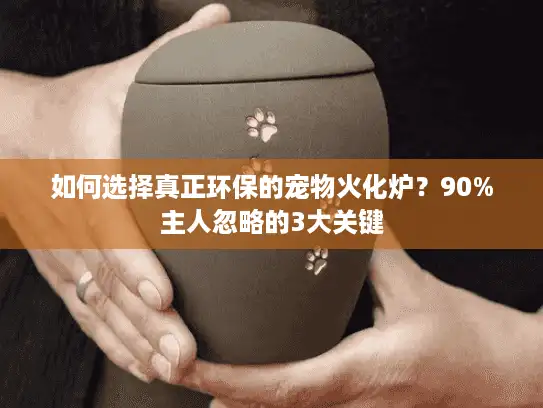 如何选择真正环保的宠物火化炉？90%主人忽略的3大关键