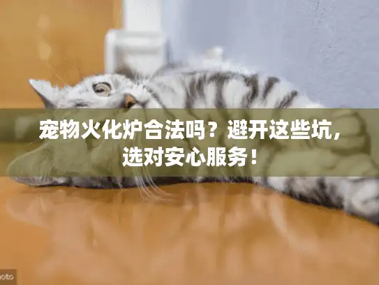 宠物火化炉合法吗？避开这些坑，选对安心服务！
