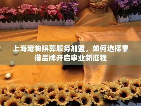 上海宠物殡葬服务加盟，如何选择靠谱品牌开启事业新征程