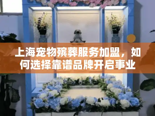 上海宠物殡葬服务加盟，如何选择靠谱品牌开启事业新征程
