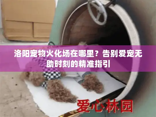 洛阳宠物火化场在哪里？告别爱宠无助时刻的精准指引